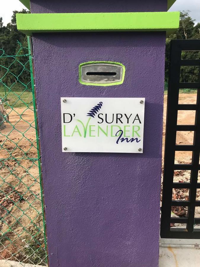 D' Surya Lavender Inn Pantai Cenang  Buitenkant foto